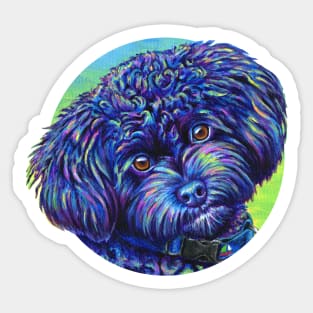 Opalescent Black Poodle Colorful Dog Sticker